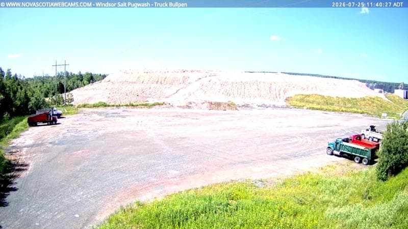 Windsor Salt
