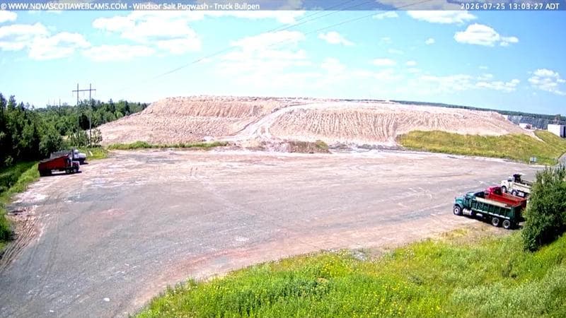 Windsor Salt