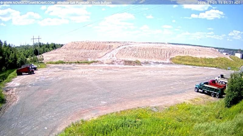 Windsor Salt