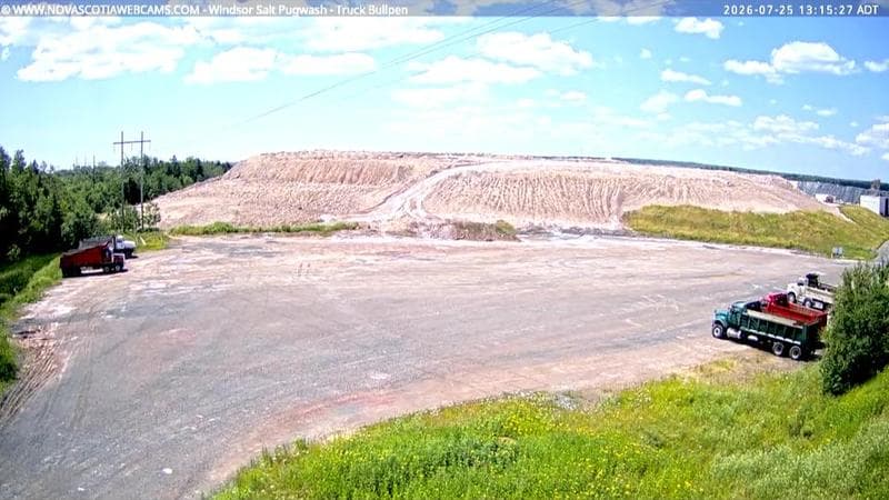 Windsor Salt