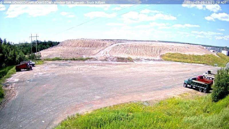Windsor Salt