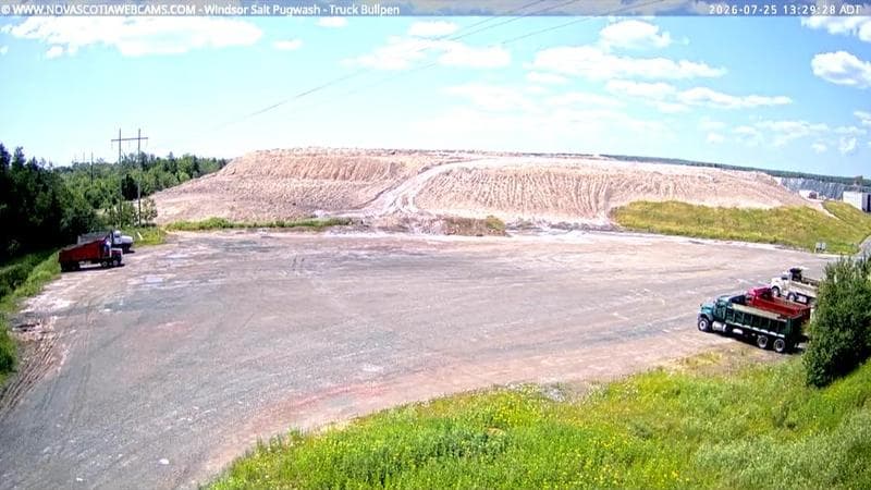 Windsor Salt