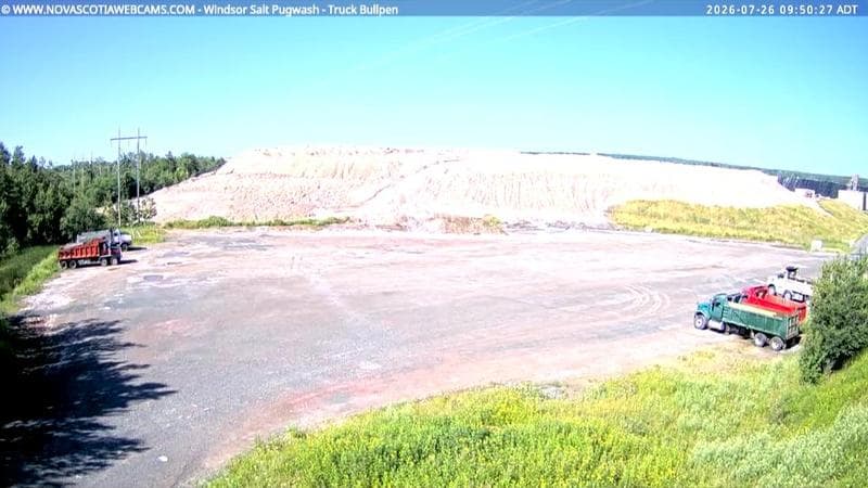Windsor Salt