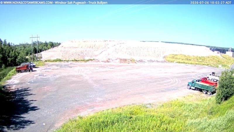Windsor Salt