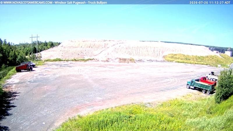 Windsor Salt
