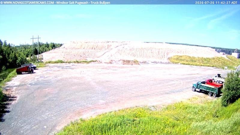 Windsor Salt