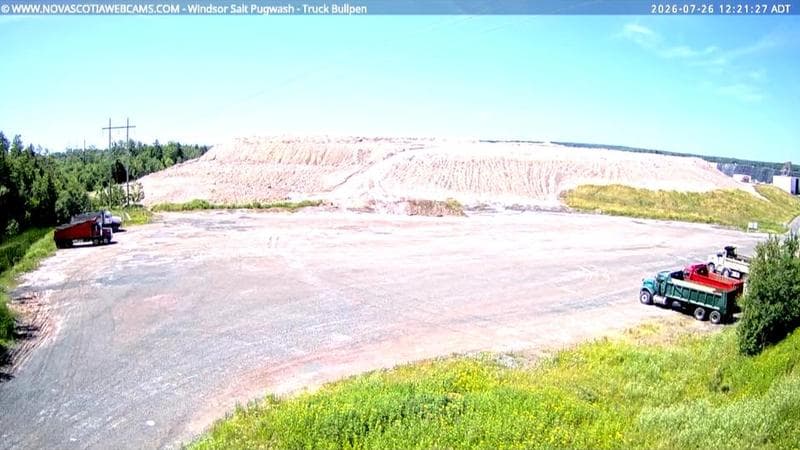 Windsor Salt