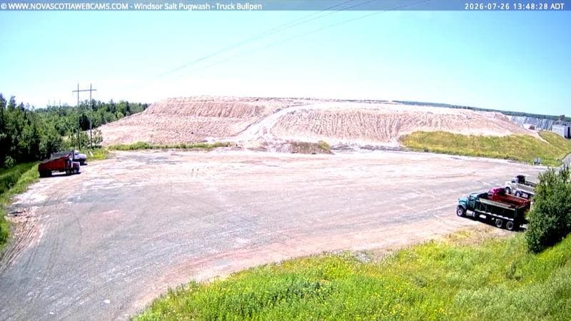 Windsor Salt