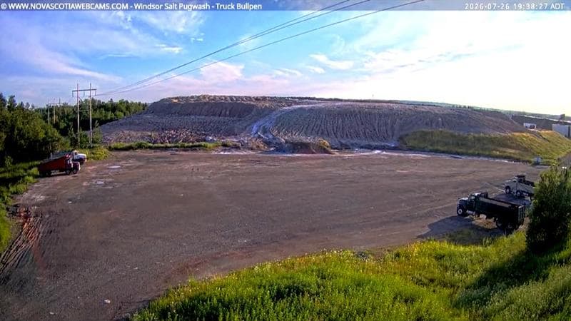 Windsor Salt