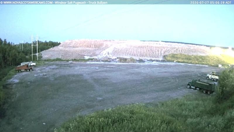 Windsor Salt