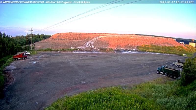 Windsor Salt