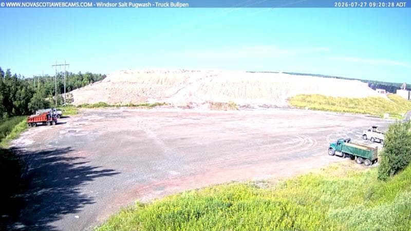 Windsor Salt