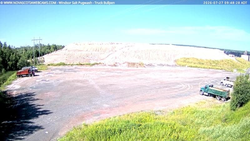 Windsor Salt