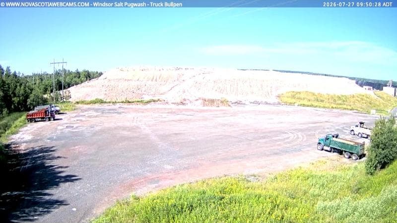 Windsor Salt