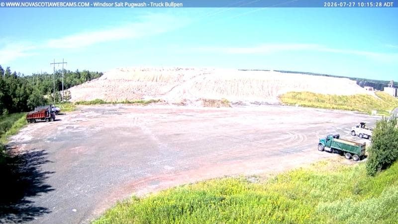 Windsor Salt