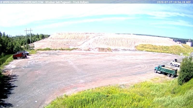 Windsor Salt