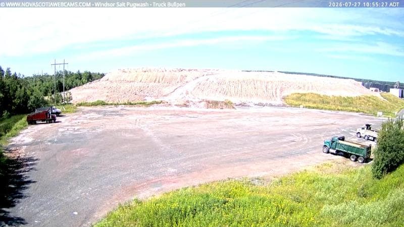 Windsor Salt