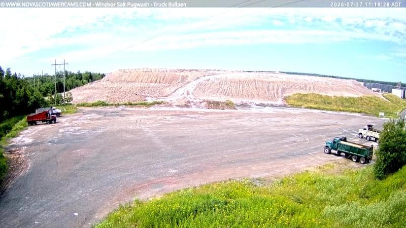 Windsor Salt