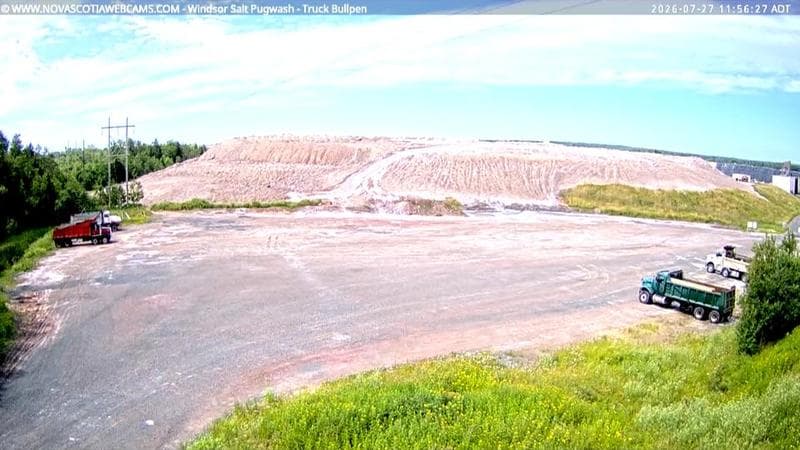 Windsor Salt