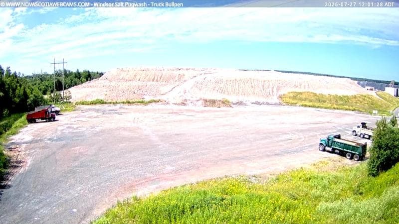 Windsor Salt