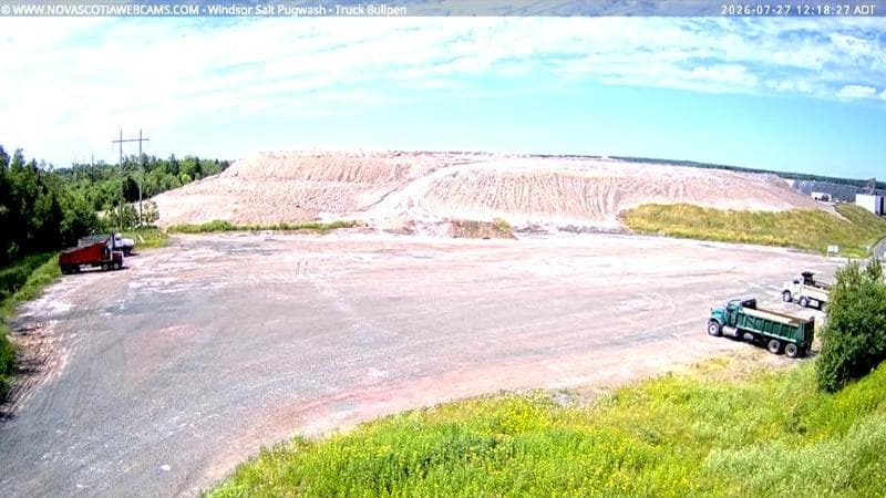 Windsor Salt