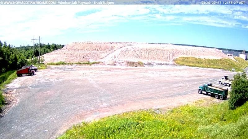 Windsor Salt