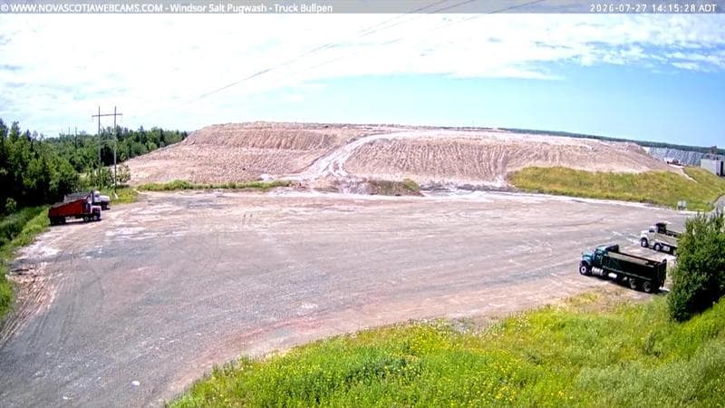 Windsor Salt