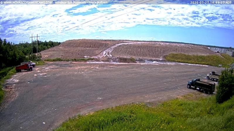 Windsor Salt