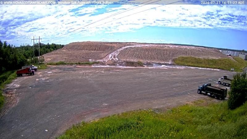Windsor Salt