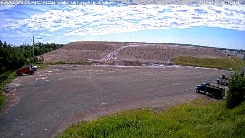 Windsor Salt