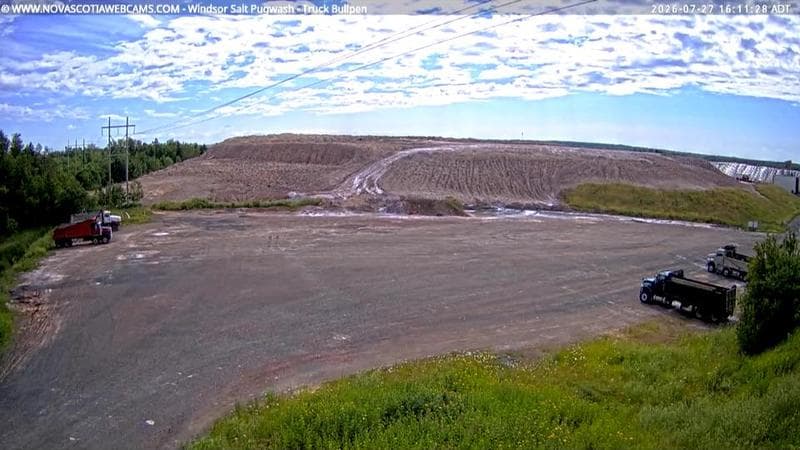 Windsor Salt