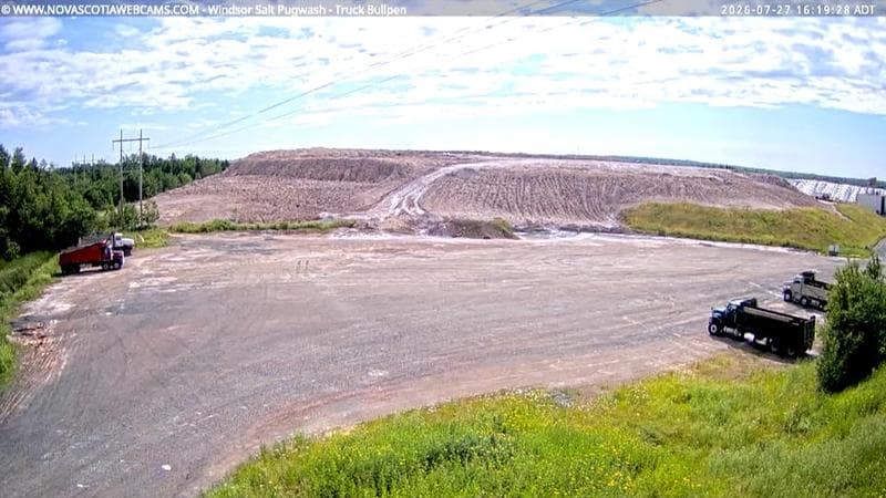 Windsor Salt