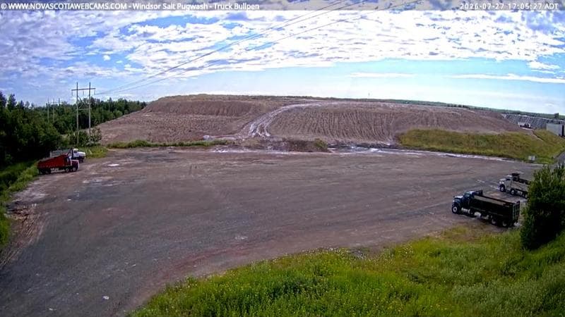 Windsor Salt