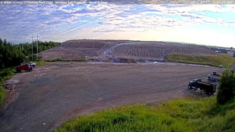Windsor Salt