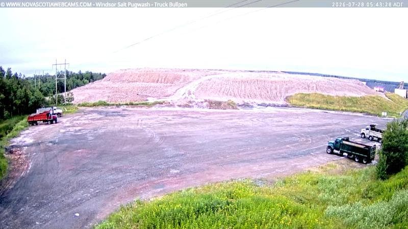 Windsor Salt