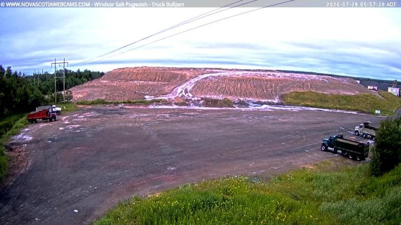 Windsor Salt