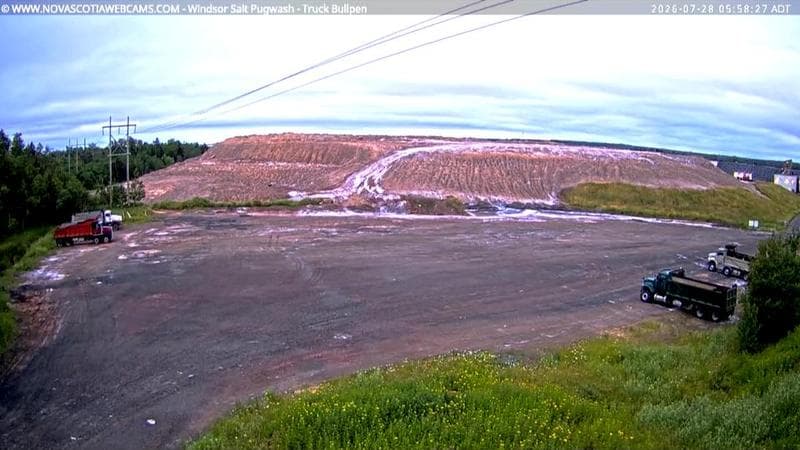 Windsor Salt