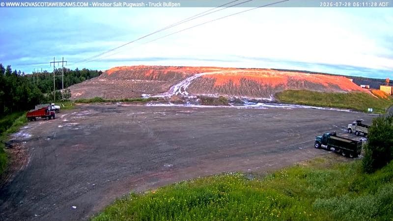 Windsor Salt