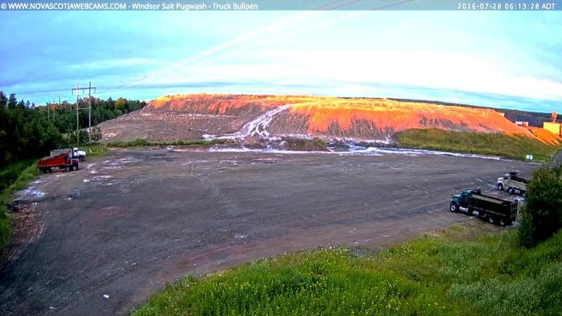 Windsor Salt