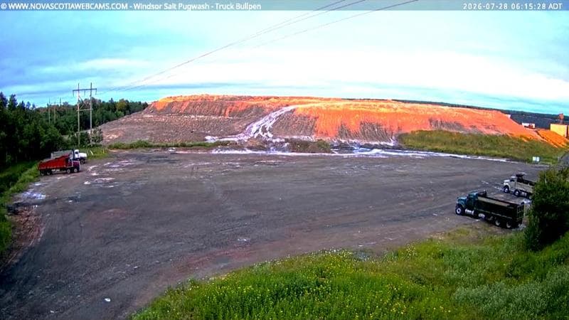 Windsor Salt