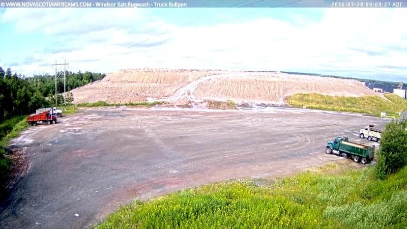 Windsor Salt