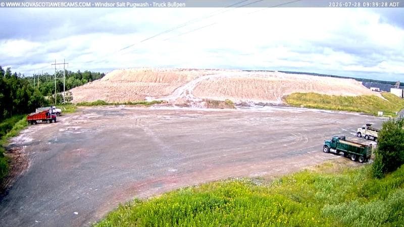 Windsor Salt