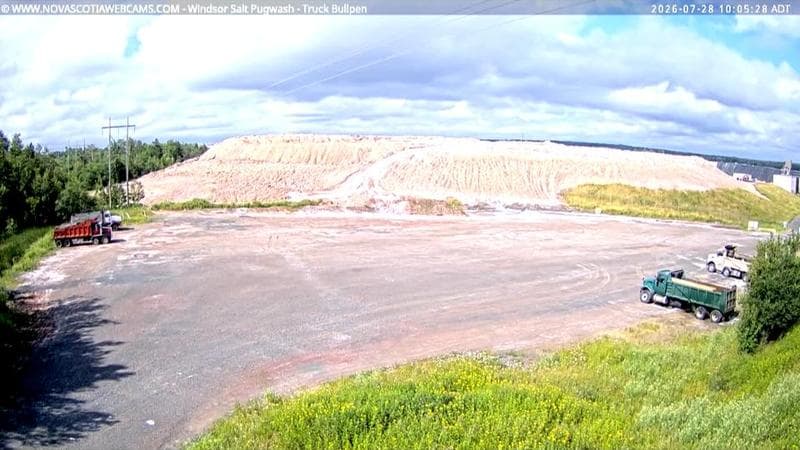 Windsor Salt