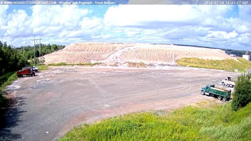 Windsor Salt