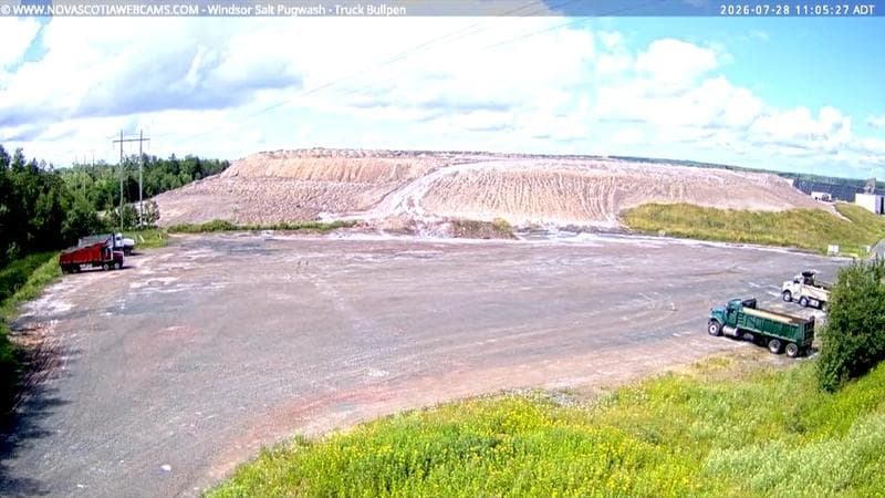 Windsor Salt