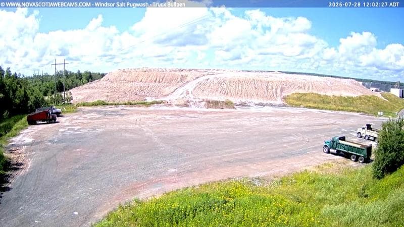Windsor Salt