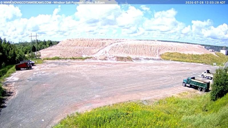 Windsor Salt