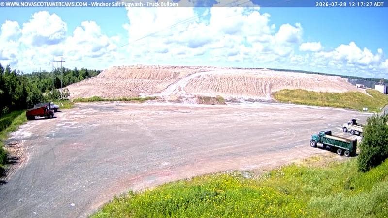 Windsor Salt