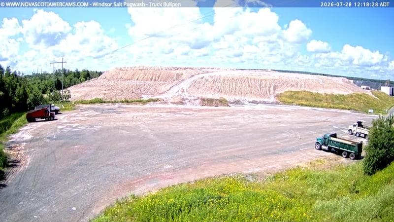 Windsor Salt