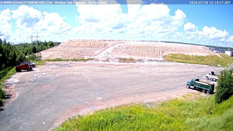 Windsor Salt